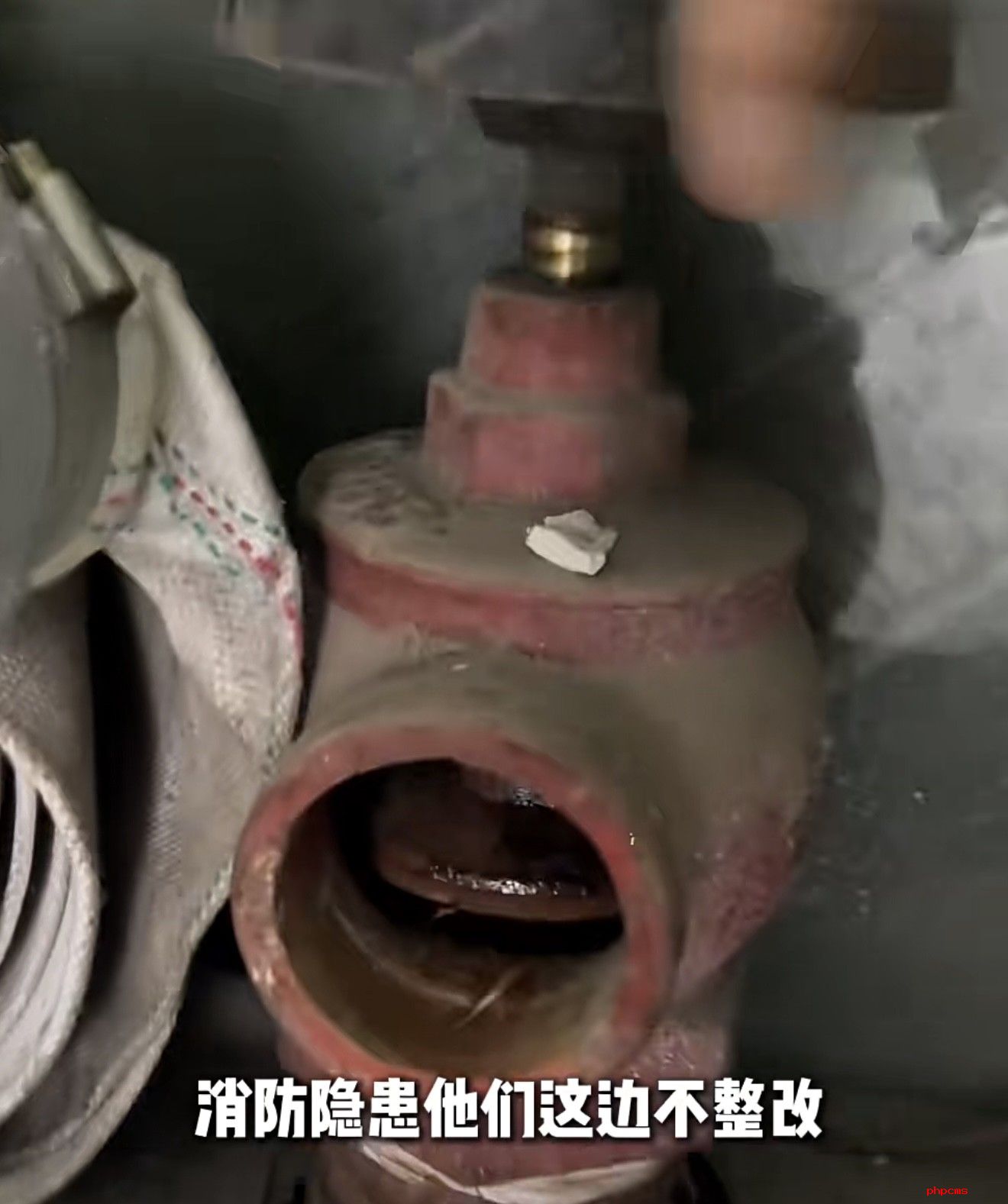 微信图片_20260611130931_615_5.jpg